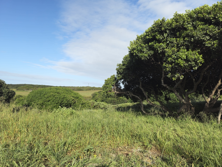 0 Bedroom Property for Sale in Kleinbaai Western Cape